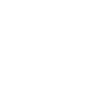 Ankle Pain